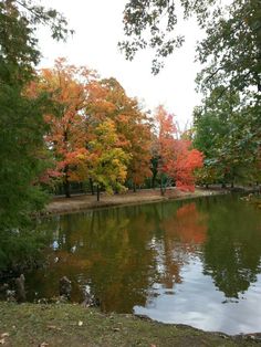 a pond surrounded by trees with orange and yellow leaves on the water's edge