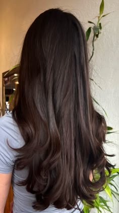 Long hair / Haircut / Style Brown Hair Blowout, Level 2 Hair, Darkest Brown Hair, Dark Balayage, Fabian Perez, Hair Blowout, Long Shiny Hair, Hair Goal, Hair Color Chocolate