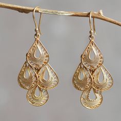 Four lacy raindrops fall in a dancing cascade bathed in 21k gold. Intricately crafted of sterling silver strands the filigree earrings are the handiwork of Giuliana Valz-Gen. .925 Sterling silver Filigrana Jewelry, Silver Chandelier Earrings, Gold Chandelier Earrings, Kay Jewelry, Black Gold Jewelry, Filigree Jewelry, Gold Rings Fashion, Filigree Earrings, Bridal Gold Jewellery Designs