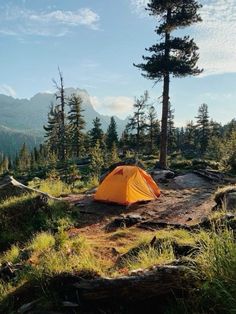 a tent is pitched up in the wilderness