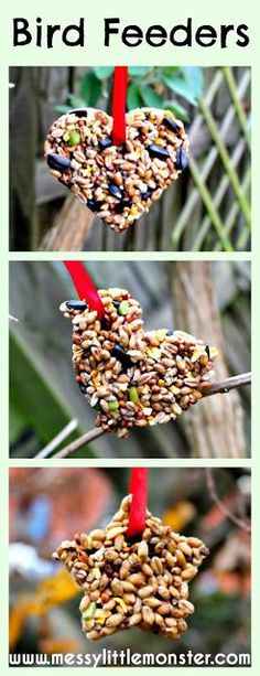 bird feeders made out of seed seeds