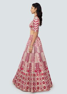 Cerise pink applique and embellished heavy kali mirror work tissue lehenga with broad lehenga border, blouse and broad border net dupatta. Tissue Lehenga, Pink Applique, Kali Lehenga, Pink Lehenga, Cerise Pink, Net Dupatta, Mirror Work, Lehenga, Mirror