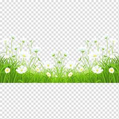 white flowers and green grass on a transparent background