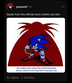 Shadow The Hedgehog Makeup, Sonic Profile Picture, Sonic Rings, Shadow X Sonic, Artist Moodboard, Sonic Hedgehog, Sonic Oc, Chili Dogs, Video Game Anime