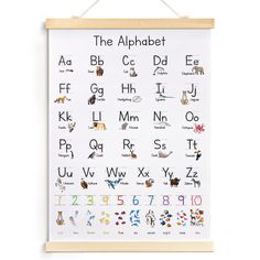 the alphabet poster is hanging on a wall