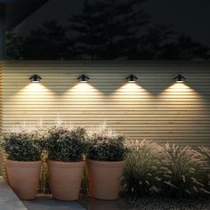 three potted plants in front of a wall with four lights on each planter