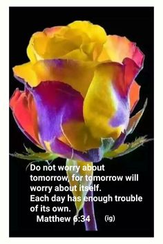 a colorful rose with the words, do not worry about tomorrow for tomorrow will worry about itself