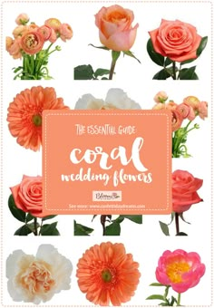 the essential guide to coral wedding flowers for brides, grooms and flower shoppers