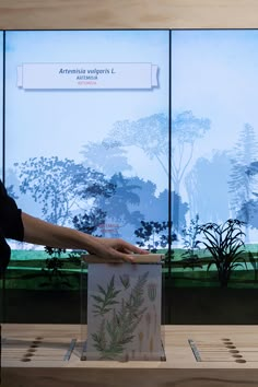 a woman standing in front of a glass display case with trees and plants on it