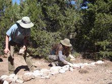 Permaculture Institute - Best of Permaculture Drylands Magazine. Panama Hat, Cowboy Hats, Cowboy, Magazine, Hats