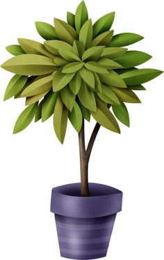 a small potted plant with green leaves on it's top and purple bottom