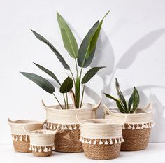 four woven baskets with plants in them on a white table next to a planter