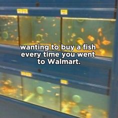 an aquarium filled with fish sitting on top of it's sides and the words wanting to buy a fish every time you went to walmart