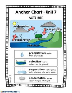 an anchor chart for water cycle