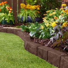 a garden filled with lots of different types of flowers