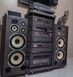 there is a cat sitting on top of speakers