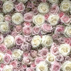 many pink and white roses are arranged in the shape of a wallpaper or background