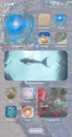 an image of the ocean with many different types of animals and their names on it