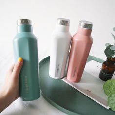 a person holding a bottle next to two other bottles on a tray with succulents