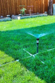 the sprinkler is spraying water on the lawn