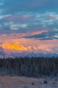 alaska in winter