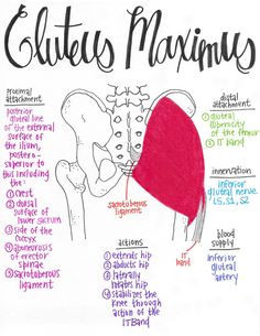 an image of a poster with words and pictures about the anatomy of the human body