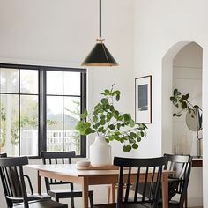 a dining room table with black chairs and a potted plant on the top of it