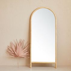 a mirror sitting on top of a table next to a pink palm leaf and potted plant