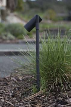 a black lamp post sitting in the middle of a grass and dirt covered area next to a street