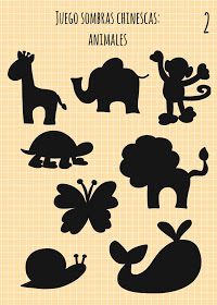 the silhouettes of different animals are shown