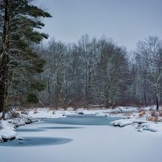 a small pond surrounded by snow covered trees