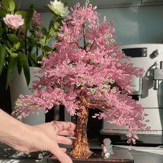 a person is placing pink flowers on top of a bonsai tree