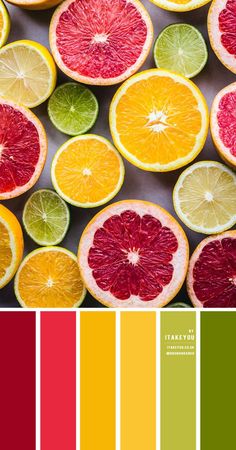 the color scheme is red, yellow, and green with oranges on each side