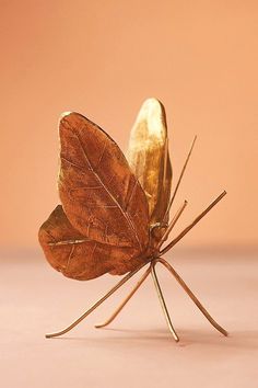 a golden butterfly sitting on top of a pink surface