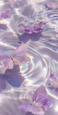 purple butterflies are floating in the water