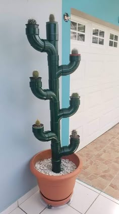 a cactus in a pot on the ground