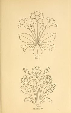 an old book with drawings of flowers and leaves on it's cover, from the early 19th century