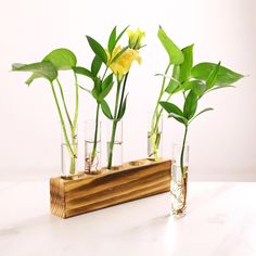 three vases with plants in them sitting on a table