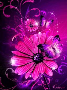 purple flowers and butterflies on a black background