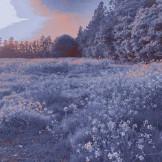 a field full of flowers and trees under a cloudy sky