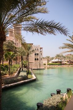 the water is very blue and green in this area with palm trees on either side