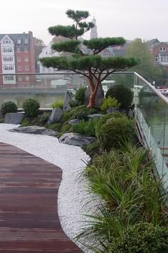 a wooden walkway next to a body of water