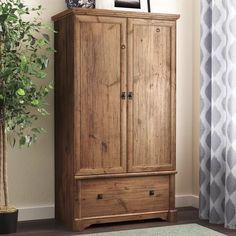 a wooden armoire next to a potted plant