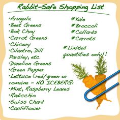 a recipe card with carrots and other vegetables on it, including the title rabbit - sat shopping list