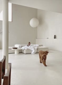 a dog is running in the middle of a room with white walls and flooring