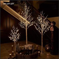 three lighted trees in the middle of a room