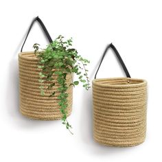 two woven baskets with handles and plants in them on a white background, one is holding a potted plant