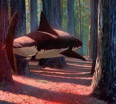 an orca killer whale in the middle of a forest