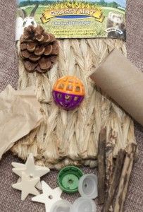 an assortment of crafting supplies laid out on the ground with pine cones and other items