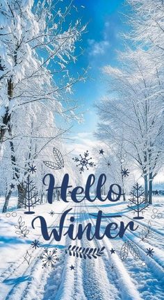 the words hello winter written in blue ink on a snowy landscape with trees and snowflakes